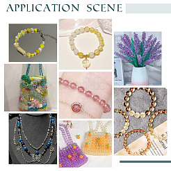 5 Colors Spray Painted & Baking Paint Crackle Glass Beads&nbsp;CCG-PH0003-17
