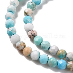 Natural Howlite Beads Strands&nbsp;G-C025-02A-07