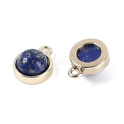 Natural Lapis Lazuli Pendants&nbsp;G-K372-03G-09