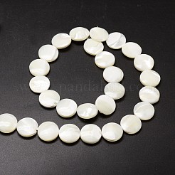 Natural Trochid Shell/Trochus Shell Beads Strands&nbsp;SSHEL-K016-02
