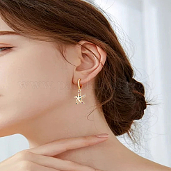 2Pcs Brass Micro Pave Cubic Zirconia Charms&nbsp;KK-LP0002-13