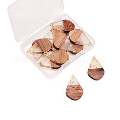 Transparent Resin & Walnut Wood Pendants&nbsp;RESI-CJ0001-51