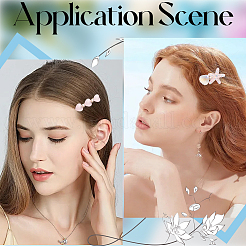2 Bags 2 Styles Resin & Alloy Alligator Hair Clips&nbsp;AJEW-CY0001-39A