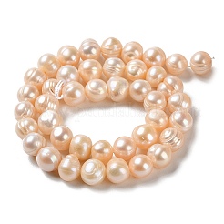 Natural Cultured Freshwater Pearl Beads Strands&nbsp;PEAR-E018-26