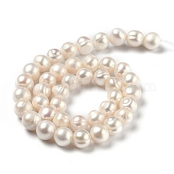 Natural Cultured Freshwater Pearl Beads Strands&nbsp;PEAR-L033-22