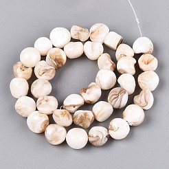 Natural Freshwater Shell Beads Strands&nbsp;SSHEL-N040-15