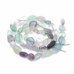 Natural Fluorite Beads Strands&nbsp;G-S331-8x10-007