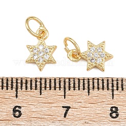 Brass Micro Pave Cubic Zirconia Pendants&nbsp;ZIRC-K070-41G