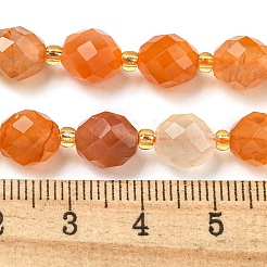 Natural Orange Botswana Agate Beads Strands&nbsp;G-N342-40