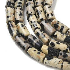 Natural Dalmatian Jasper Beads Strands&nbsp;G-B091-A19-01