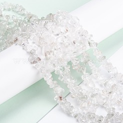 Natural Quartz Crystal Beads Strands&nbsp;G-G011-03