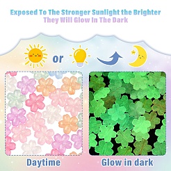 50Pcs Luminous Transparent Acrylic Beads&nbsp;LACR-YW0001-08
