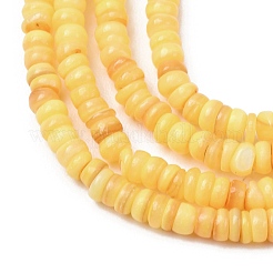 Dyed Natural Freshwater Shell Beads Strands&nbsp;SH-CBA2978-05B