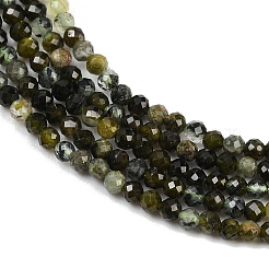 Natural Prehnite Beads Strands&nbsp;G-L628-B11-2mm