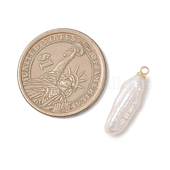 Natural Baroque Pearl Keshi Pearl Pendants&nbsp;PALLOY-JF04777-01