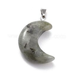 Natural Labradorite Pendants&nbsp;G-Z022-02A