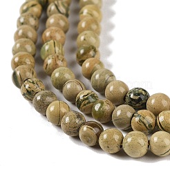 Natural Verdite Stone Beads Strands&nbsp;G-P530-B07-01