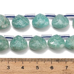 Natural Amazonite Beads Strands&nbsp;G-C292-A11-01