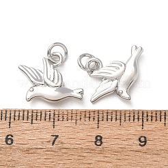 Brass Pendants&nbsp;KK-H297-06P
