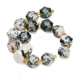 Natural Tree Agate Beads Strands&nbsp;GG-CBA4A3B-B19