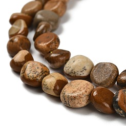 Natural Picture Jasper Beads Strands&nbsp;G-P497-01E-59