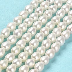 Natural Cultured Freshwater Pearl Beads Strands&nbsp;PEAR-E016-125