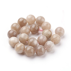 Natural Sunstone Beads Strands&nbsp;X-G-G099-10mm-14