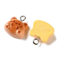 Resin Pendants&nbsp;RE-T001-02