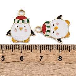 304 Stainless Steel Pendants&nbsp;STAS-A120-28B-G