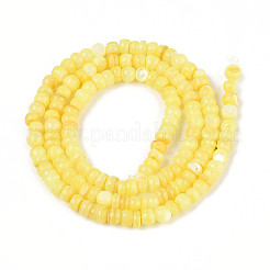 Natural Freshwater Shell Dyed Beads Strands&nbsp;SHEL-T020-29A-09