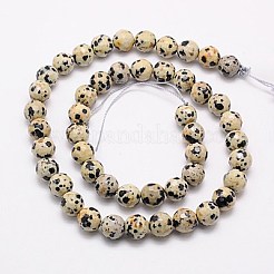 Natural Dalmation Jasper Beads Strands&nbsp;G-G542-8mm-07