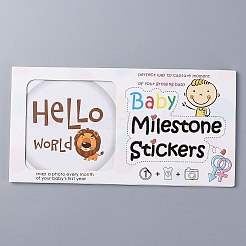 Newborn Monthly Milestone Stickers&nbsp;DIY-H127-B07