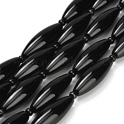 Natural Black Agate Beads Strands&nbsp;G-B178-P01-01