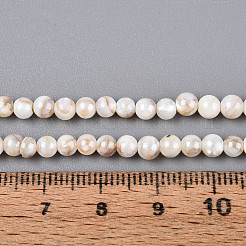AB Color Natural Freshwater Shell Beads Strands&nbsp;BSHE-T014-40C