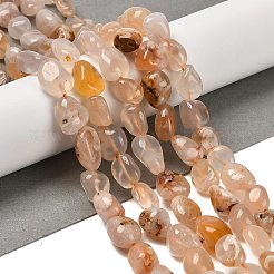 Natural Cherry Blossom Agate Beads Strands&nbsp;G-P497-01E-68