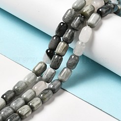 Natural Eagle Eye Stone Beads Strands&nbsp;G-G980-14