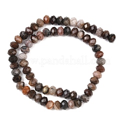 Natural Petrified Wood Beads Strands&nbsp;G-C259-A28-5x8mm