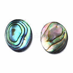 Natural Abalone Shell/Paua Shell Cabochons&nbsp;SSHEL-N034-118