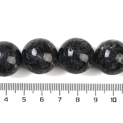 Natural Larvikite Beads Strands&nbsp;G-G118-B02-01