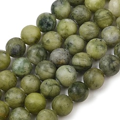 Natural Taiwan Jade Beads Strands&nbsp;X-GSR032
