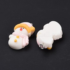 Opaque Resin Pendants&nbsp;LS-RESI-G028-01P