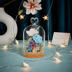Glass Dome Cover&nbsp;AJEW-WH0604-68D