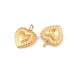 304 Stainless Steel Pendants&nbsp;STAS-D390-52B-G