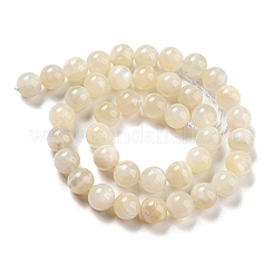 Natural White Moonstone Beads Strands&nbsp;LS-G-F306-05AB-10mm-01
