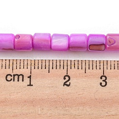Natural Freshwater Shell Beads Strands&nbsp;SHEL-F008-04