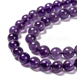Natural Amethyst Round Bead Strands&nbsp;X-G-M304-18-6mm