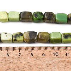Natural Serpentine Beads Strands&nbsp;G-B155-D07