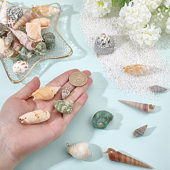 45Pcs Copper Wire Wrapped Natural Spiral Shell Pendants&nbsp;PALLOY-WR00033