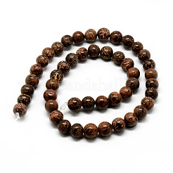 Natural Starburst Jasper Beads Strands&nbsp;X-G-Q462-51-6mm