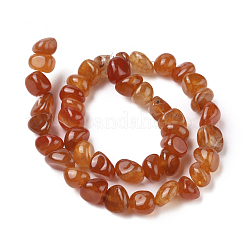 Natural Agate Beads Strands&nbsp;X-G-L560-M10